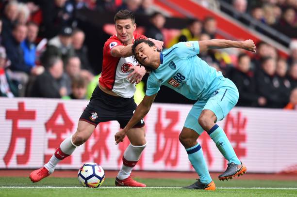 这些高效动 这些高效动